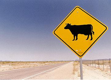 玩家发现《流放之路2》第三幕两个秘密商贩